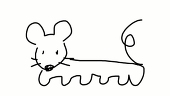 狐猫