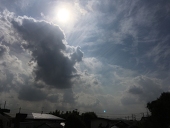 有栖川