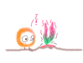 もや
