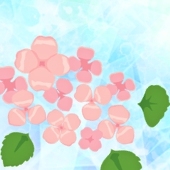 雨ノ花