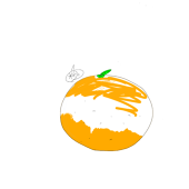 粉みかん🍊。