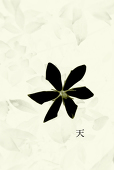 天