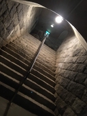 春樹