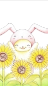 Ｎｏｂｉ