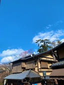 芥