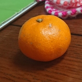 彬
