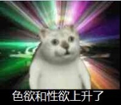 白八顶八