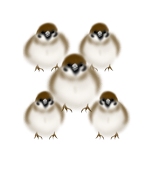 飴
