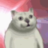 hey