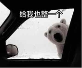 毛凯菌