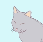 いろはか