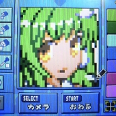 水鳥