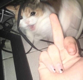 2777285109