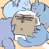 八百屋