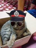 さくっち