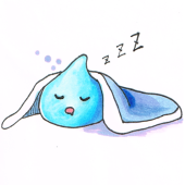 Kamy