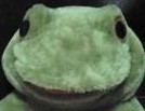 あさひたか