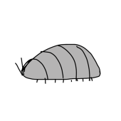 むの