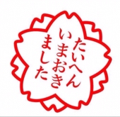八愛