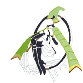 発作