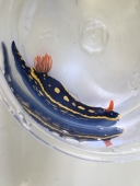 悠真