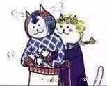 拾夜影行