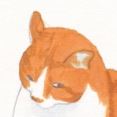 シドウ ミキ