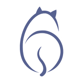 Kanade-Q