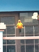 dan