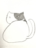 コロ豆