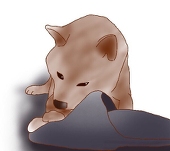 みき