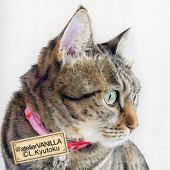 atelier VANILLA