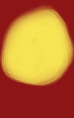 2207045012