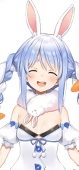 のうさぎ