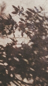 青