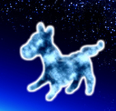 ペリテシ