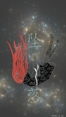 森桜伊織