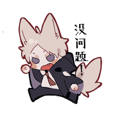 nanz_match