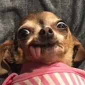 yushaneZHEN