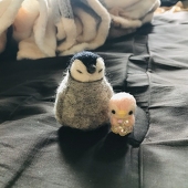 なな