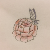 れんげ