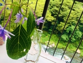 平
