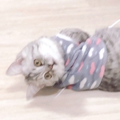 一个卷砸
