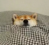 一般通过马玉日