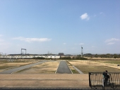 赤褐色