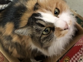 刹那