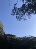 ゆは