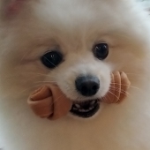 羽澄御希子