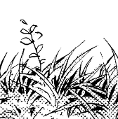 村井