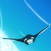 manta